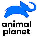 Animal Planet Россия