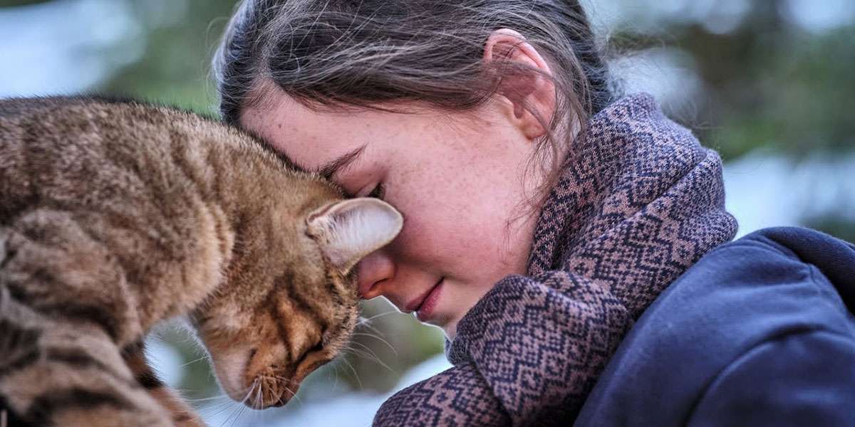 Мой котик и я