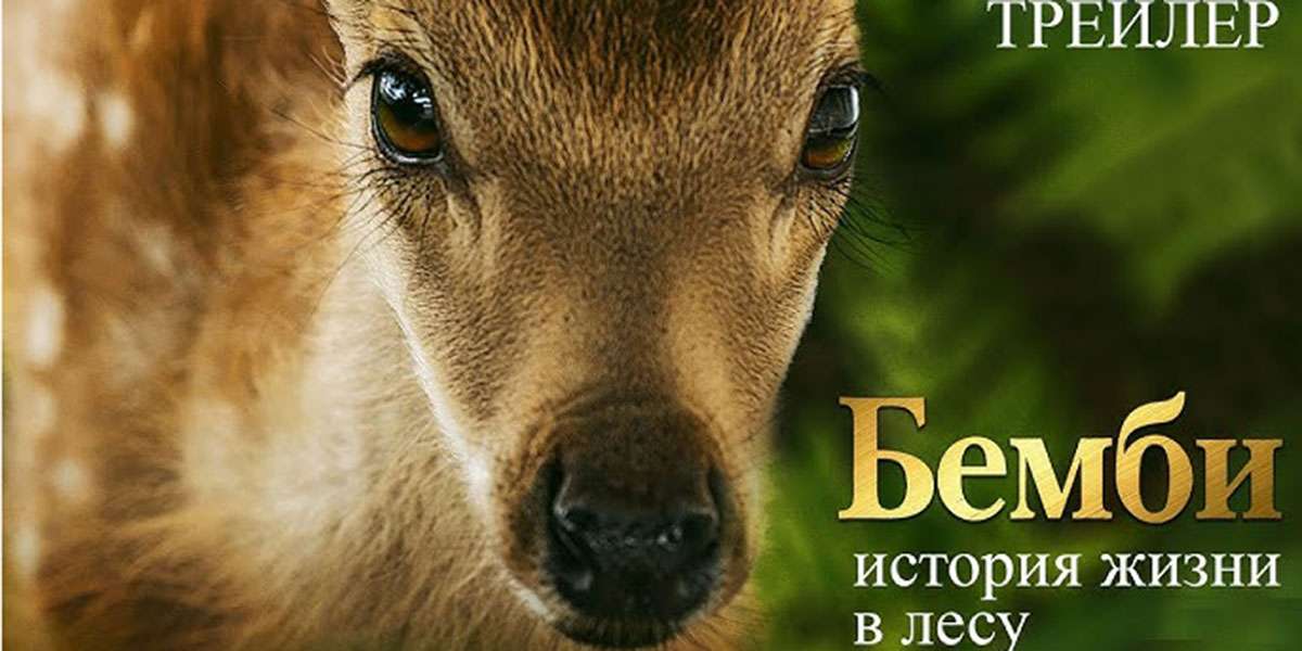 Бемби. История жизни в лесу