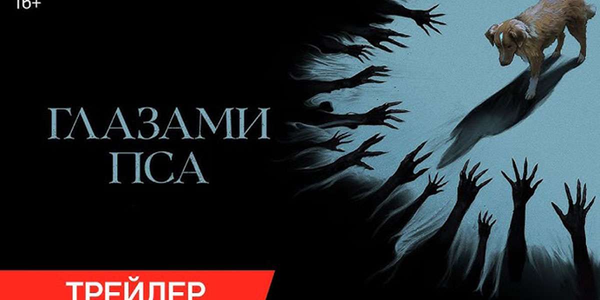Глазами пса
