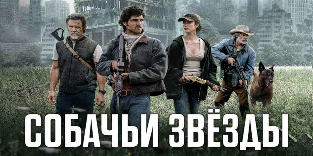 Собачьи звёзды