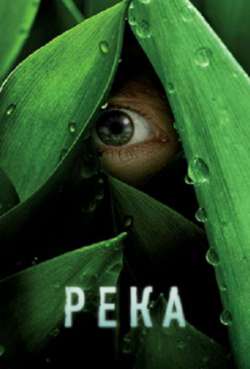 Постер Река