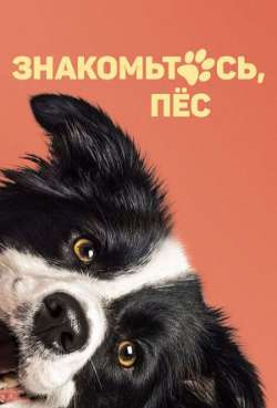 Постер Знакомьтесь, пес