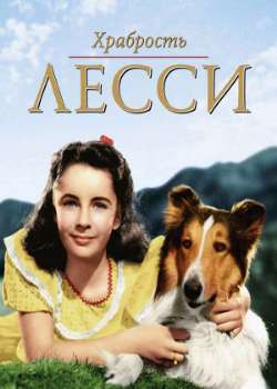 Постер Храбрость Лесси