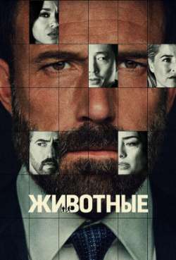 Постер Животные