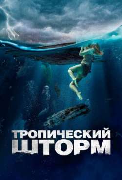 Постер Тропический шторм