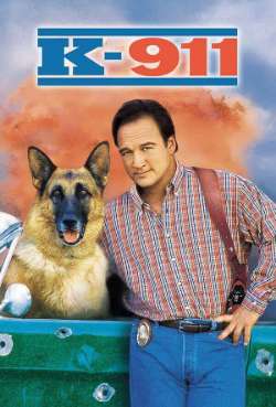 Постер K-911