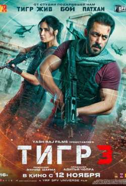 Постер Тигр 3