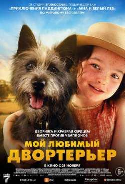 Постер Мой любимый двортерьер