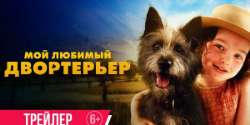 Мой любимый двортерьер