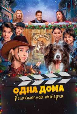 Постер Одна дома: Великолепная пятерка 
