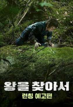 Постер Найти короля