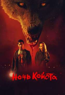 Постер Ночь койота