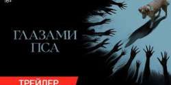Глазами пса