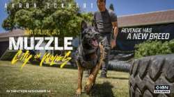 Клык 2: Город волков