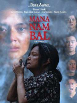 Постер Целительница