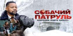 Собачий патруль: Операция «Санта Лапкус»