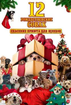 Постер 12 рождественских собак: Спасение приюта для щенков