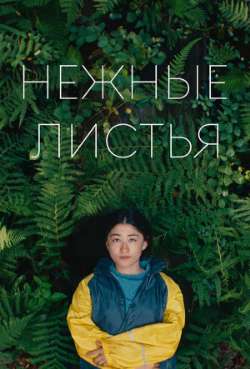 Постер Нежные листья