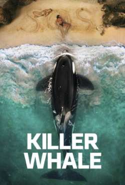 Постер Кит-убийца