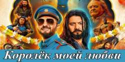 Королёк моей любви