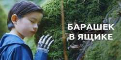 Барашек в ящике