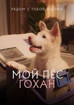 Постер Мой пёс Гохан