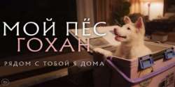 Мой пёс Гохан