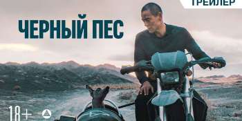 Черный пес
