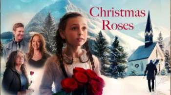 Рождественские розы