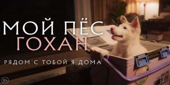 Мой пёс Гохан