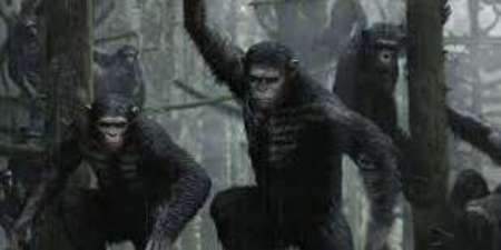 Фильм «Планета обезьян: Революция»