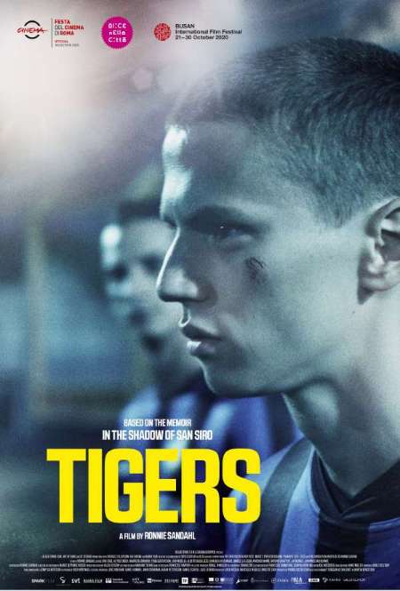 Постер. Фильм Тигры
