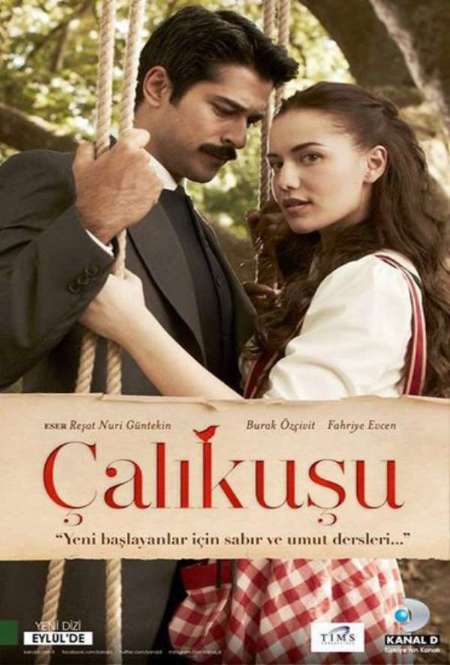 Постер. Сериал Королёк - птичка певчая