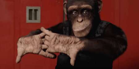 Фильм «Шимпанзе под прикрытием»