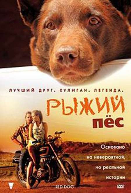 Постер. Фильм Рыжий пес