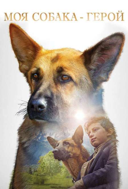 Фильм «Моя собака - герой»
