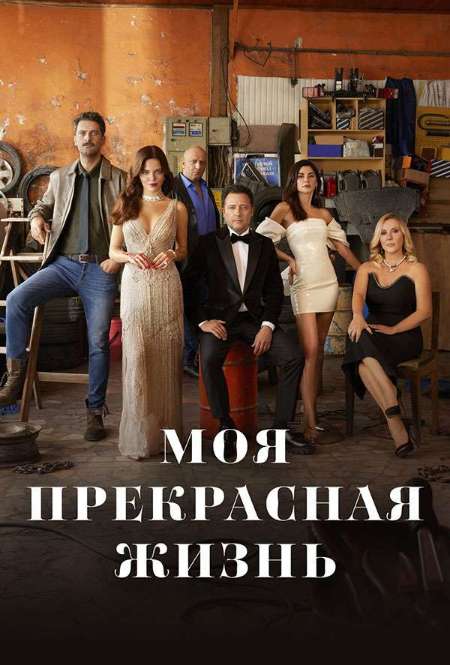 Постер. Сериал Моя прекрасная жизнь