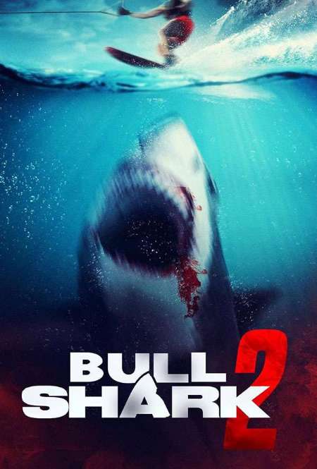 Постер. Фильм Бычья акула 2 