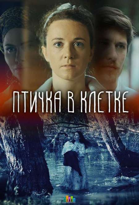 Постер. Сериал Птичка в клетке 