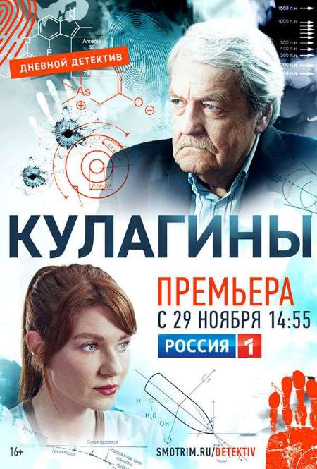 Постер. Сериал Кулагины