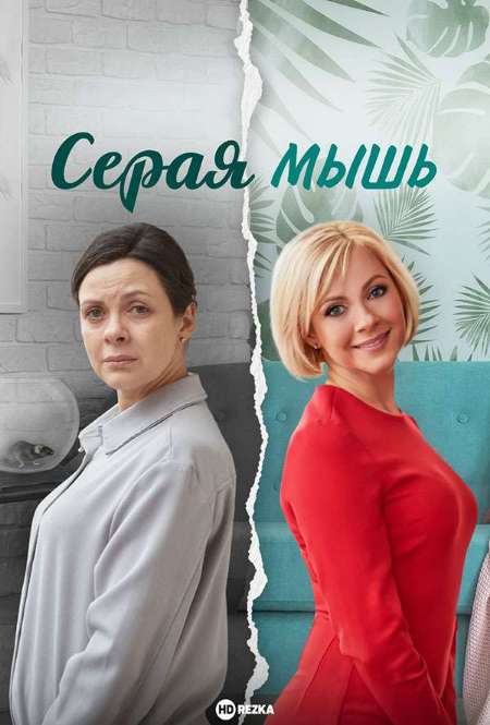 Постер. Сериал Серая мышь