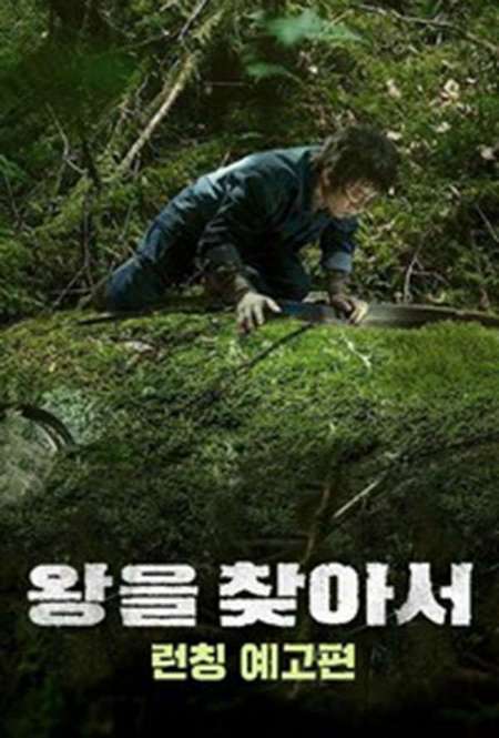 Постер. Фильм Найти короля