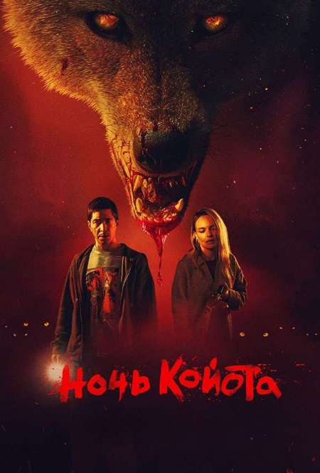 Постер. Фильм Ночь койота
