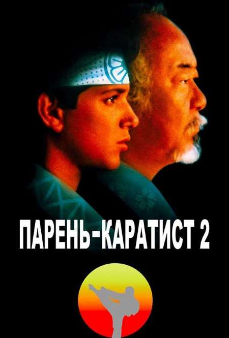 Постер. Фильм Парень-каратист 2