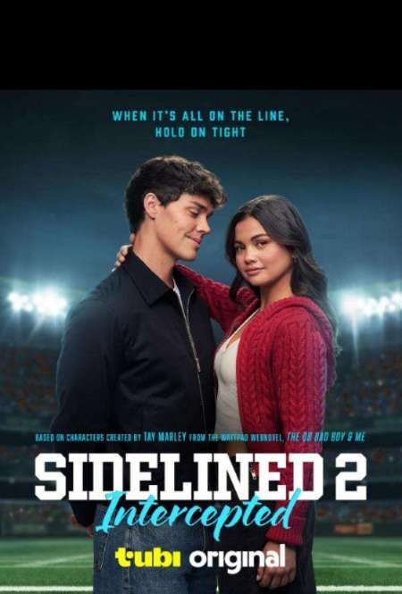 Постер. Фильм Плохой парень и я 2: Перехват