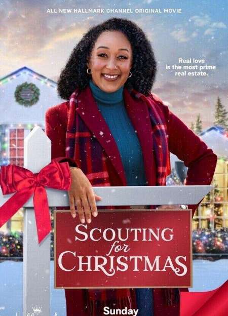 Постер. Фильм В поисках Рождества