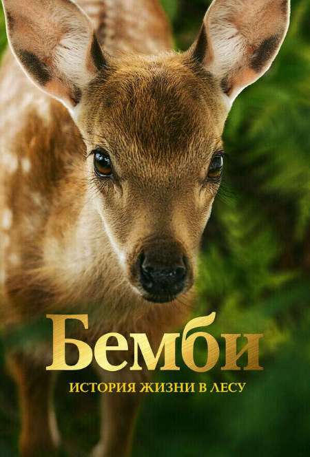 Постер. Фильм Бэмби. История жизни в лесу