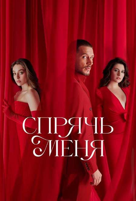 Постер. Сериал Спрячь меня