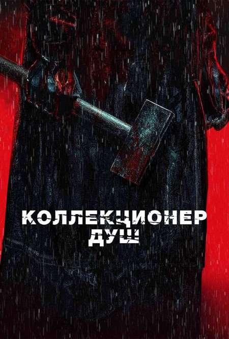 Постер. Фильм Коллекционер душ